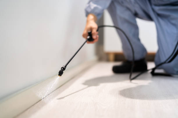 Bed Bug Pre-Treatment Preparation Assessment in Lake Fenton