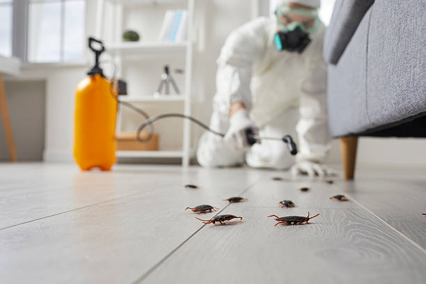 Post-Treatment Bed Bug Interceptor Monitoring in Lake Fenton