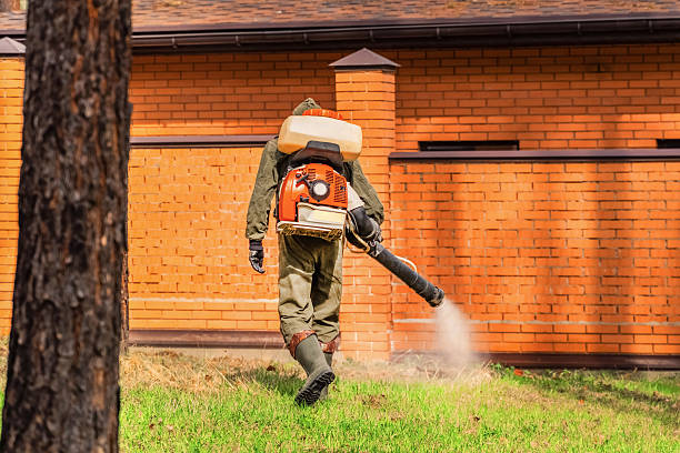 Bed Bug Clearance Verification and Documentation in Lake Fenton